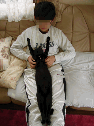 c0136736_12333950.gif