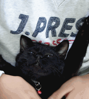 c0136736_12352797.gif
