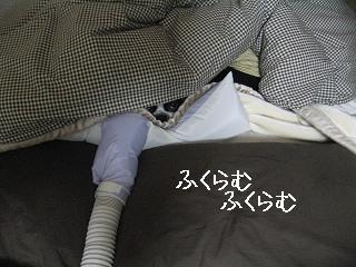 e0126046_21575914.jpg