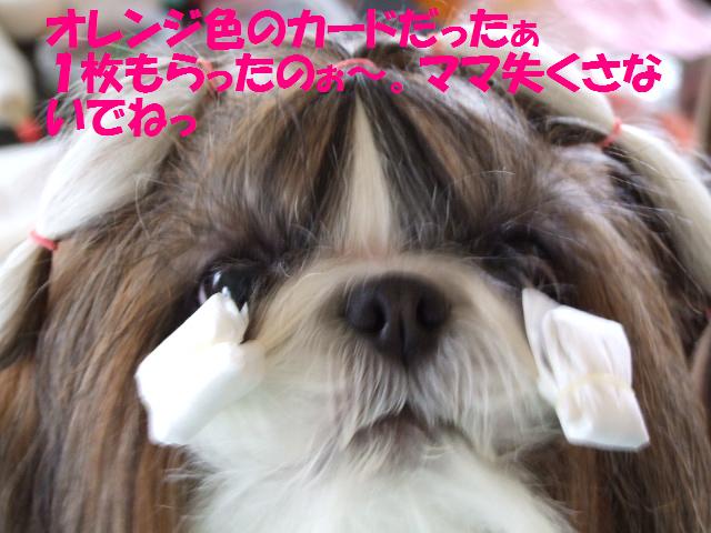 a0091448_2251569.jpg