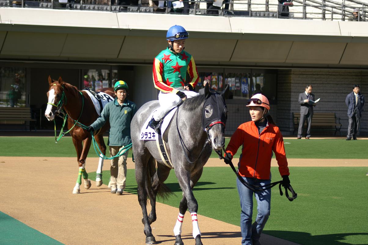 代替競馬_f0033848_23295288.jpg