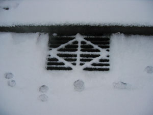 雪刷_f0041351_20454382.jpg