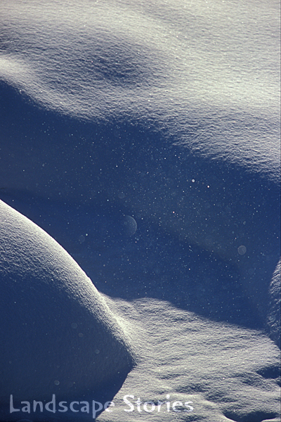 e0083559_23545211.jpg