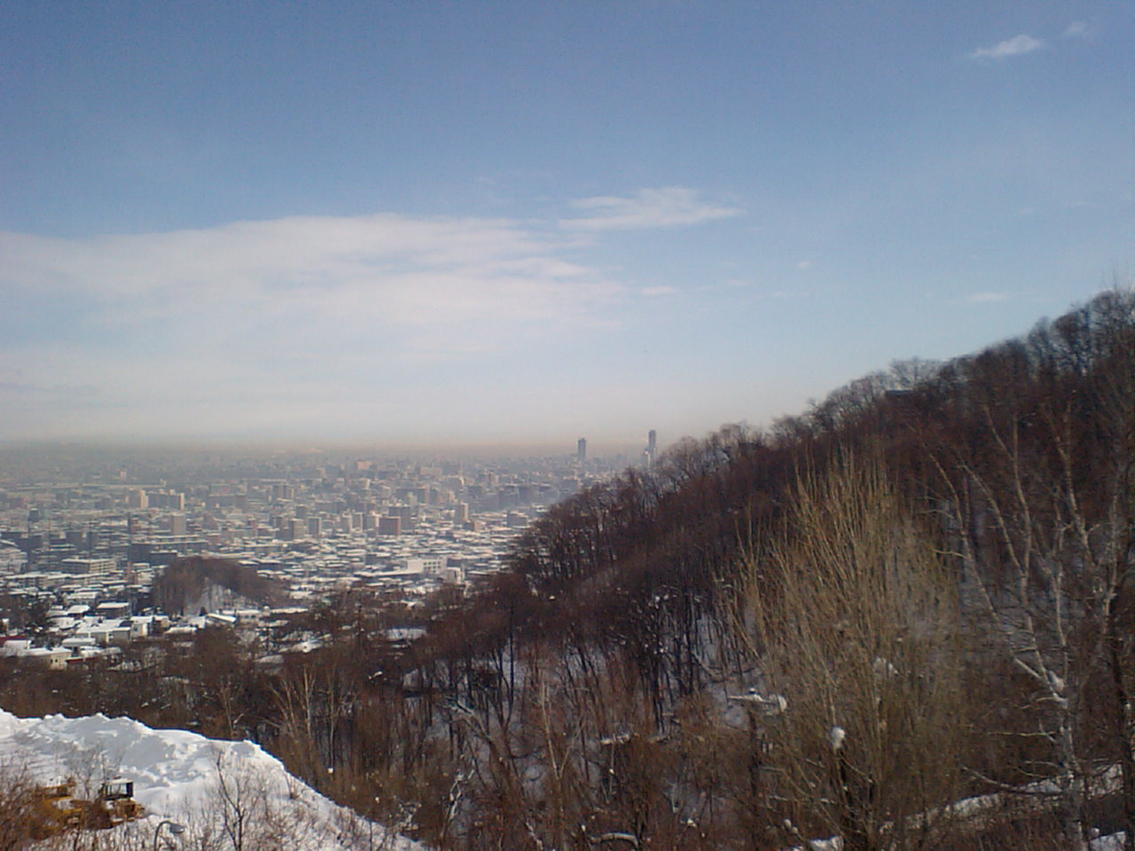 d0098665_17303574.jpg