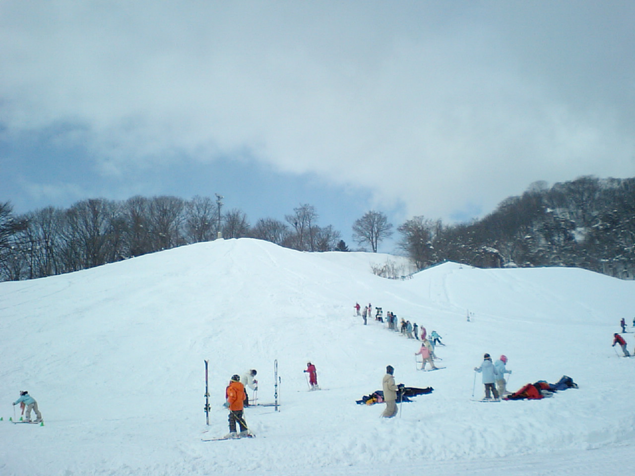 d0098665_17345659.jpg