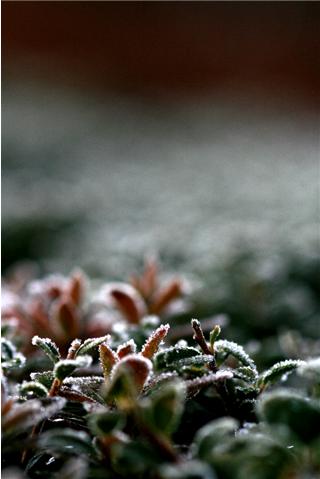 f0095265_9294969.jpg