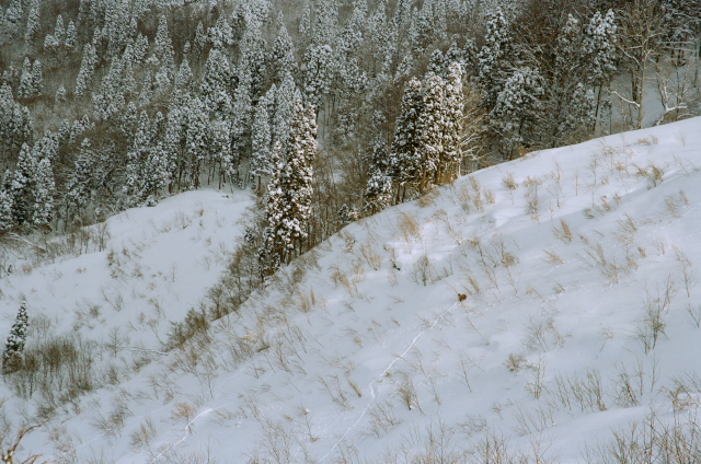 c0006767_91181.jpg