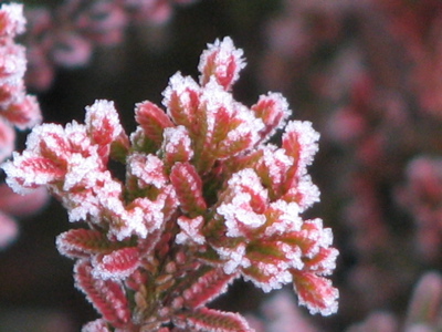d0050472_99101.jpg