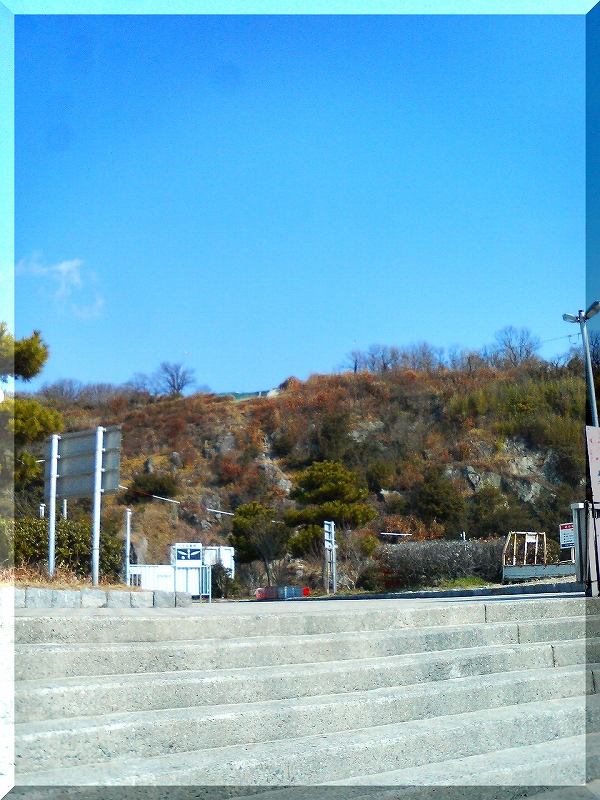 e0024081_1652685.jpg