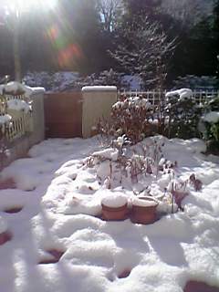 雪がやんで・・・_e0047282_0582495.jpg
