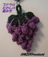 ブドウのアクリルたわし 編み好き Amiami通信
