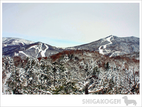 2月5日-雪あそび～-_f0060689_1317444.jpg