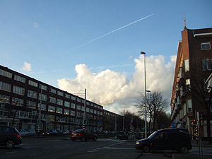 International Film Festival Rotterdam 3_c0087792_4385195.jpg