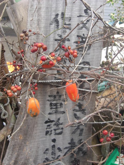 e0127214_1173153.jpg
