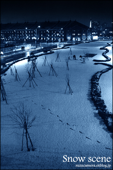 横濱雪景色_f0100215_0284578.jpg