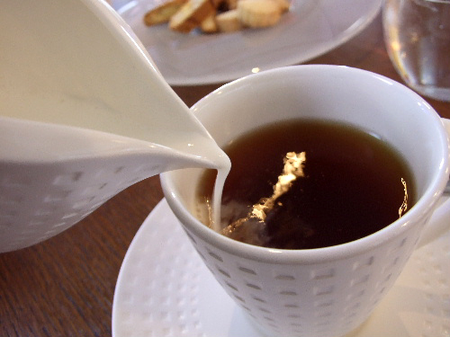 「表参道 sinのビスコッティー」_a0000029_12155687.jpg