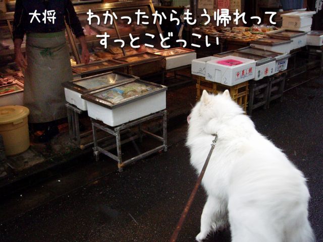 ピロピロクローカ_c0062832_1913736.jpg