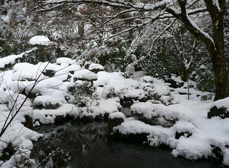 京の雪景色めぐり vol.5 三千院_c0057946_19584962.jpg