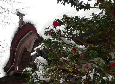 京の雪景色めぐり vol.5 三千院_c0057946_2011561.jpg