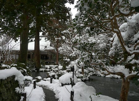 京の雪景色めぐり vol.5 三千院_c0057946_207525.jpg