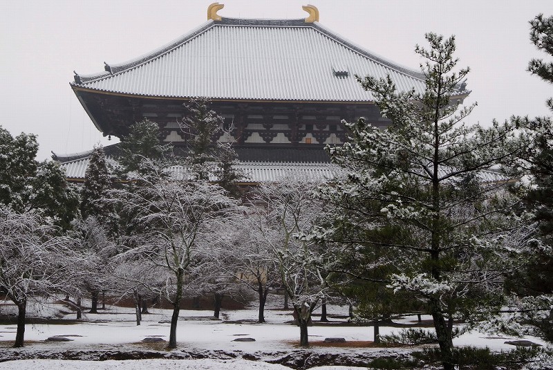 雪化粧した奈良公園_f0067667_18301292.jpg