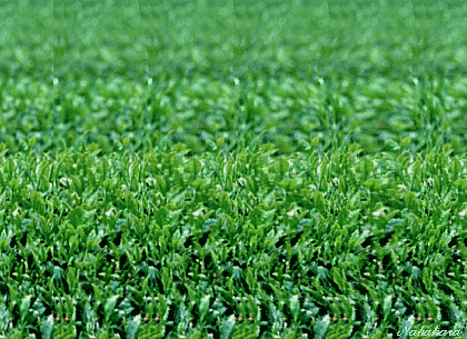 f0016783_23532046.gif