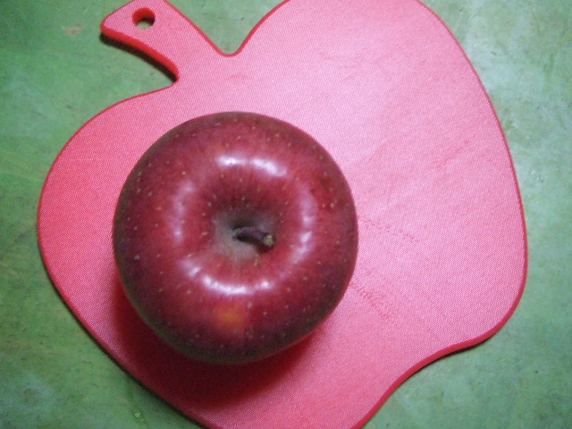 f0028584_56825.jpg