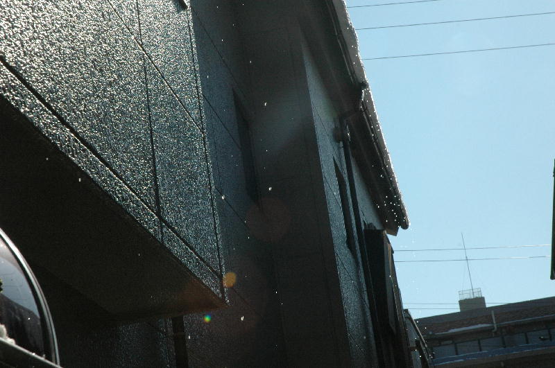 c0075585_16322.jpg