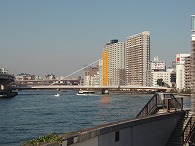 c0105785_855999.jpg