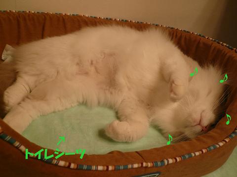 c0117597_1037497.jpg
