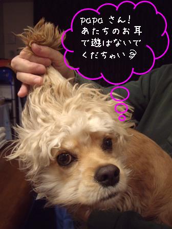c0128303_21591.jpg
