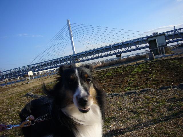 e0130008_17242549.jpg