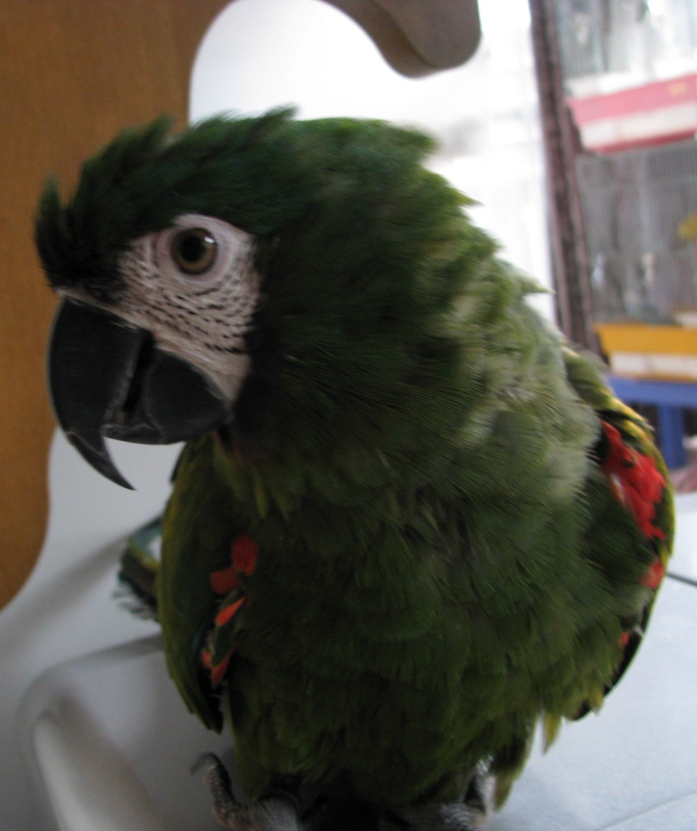 d0081210_19403585.jpg