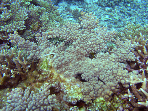 f0041021_21493226.jpg