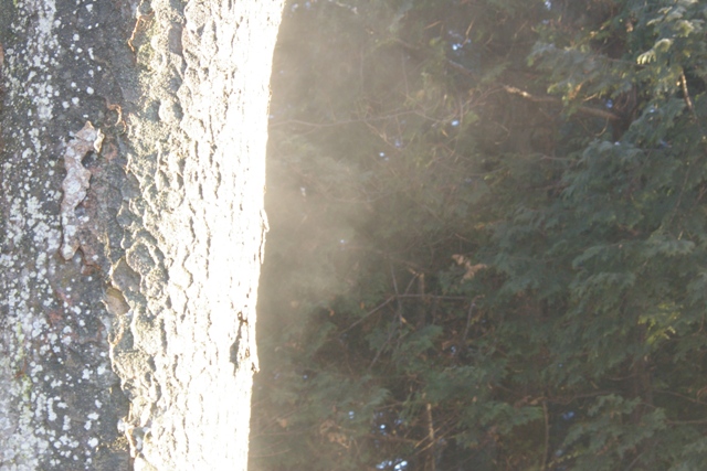 c0107924_2342468.jpg