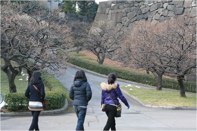 皇居東御苑の鳥と花_e0052135_2143204.jpg