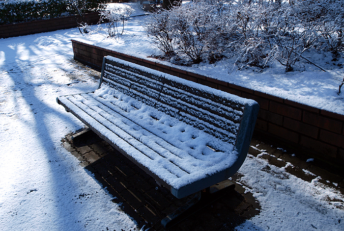 雪～♪　PART４　公園編_e0072638_17004.jpg