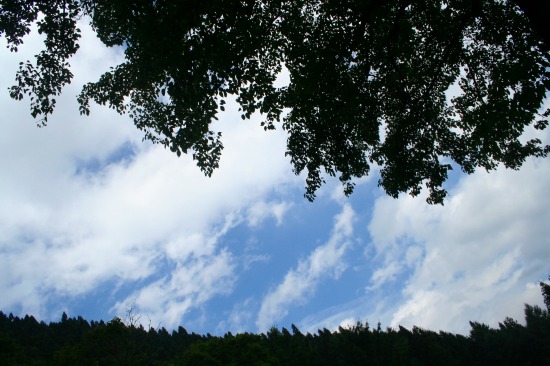 e0126350_161415.jpg