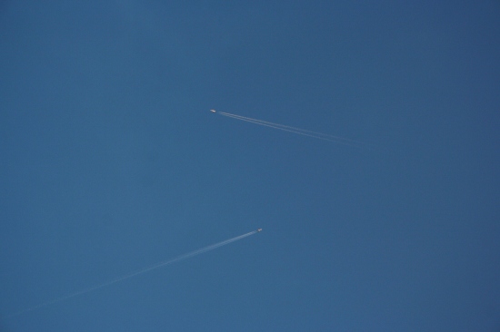 e0126350_2140322.jpg
