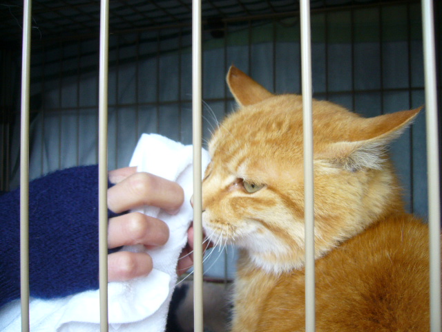 2月7日(木)今日からチュニジアに行ってきます!_f0060461_1217273.jpg