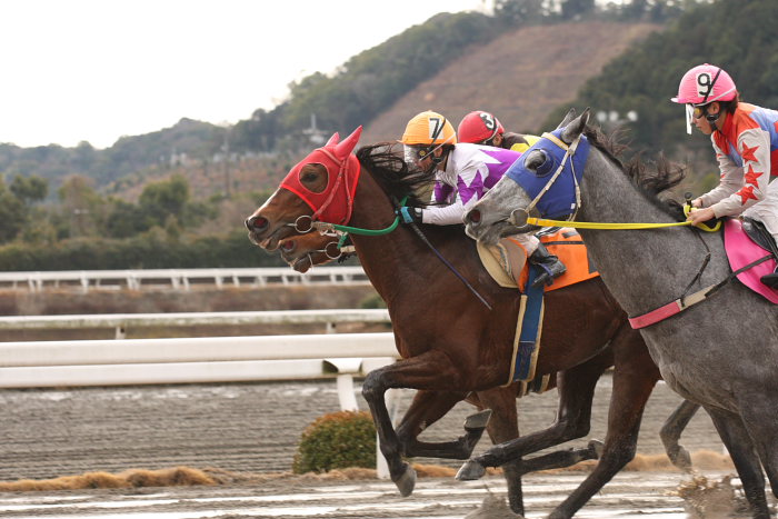 2008年2月3日（日） 高知競馬 2R_a0077663_19134811.jpg