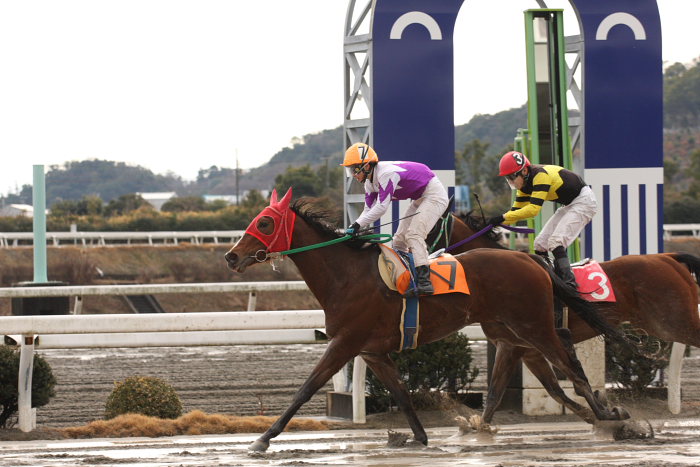 2008年2月3日(日) 高知競馬 2R_a0077663_19142114.jpg