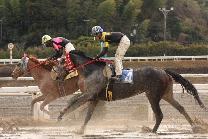 2008年2月3日(日) 高知競馬 2R_a0077663_1915059.jpg