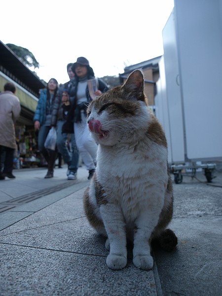 通り過ぎる人の心_c0109780_2010668.jpg