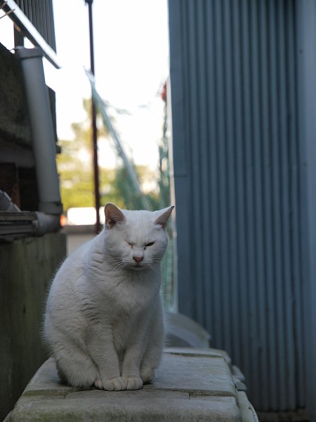 ん?_c0109780_20124954.jpg