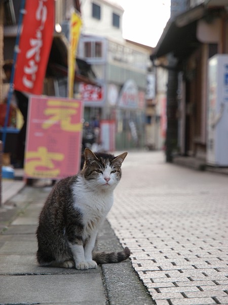 店番_c0109780_20145964.jpg