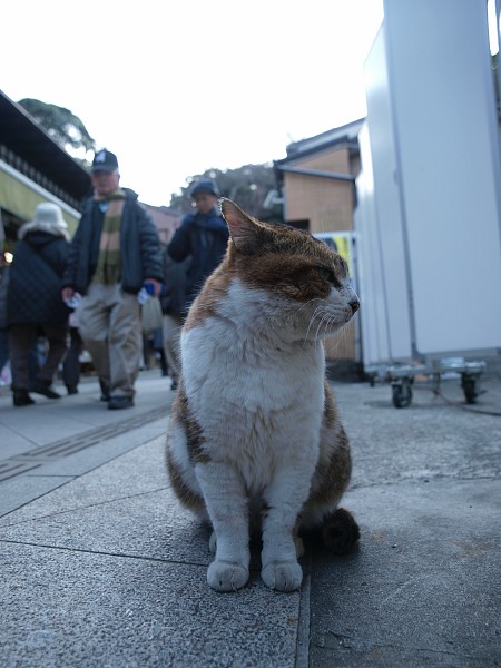 通り過ぎる人の心_c0109780_2091535.jpg