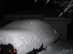 2007年2月6日 またさむ~い!! _b0098584_311760.jpg