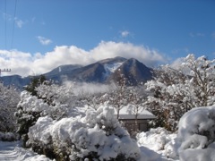 2007年2月6日 またさむ~い!! _b0098584_372635.jpg