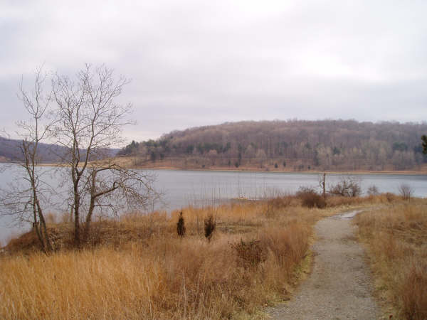 f0024887_1264686.jpg